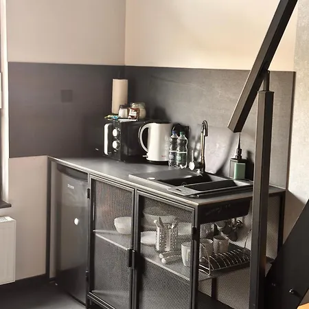 住宿加早餐酒店 Hudson Butikowe