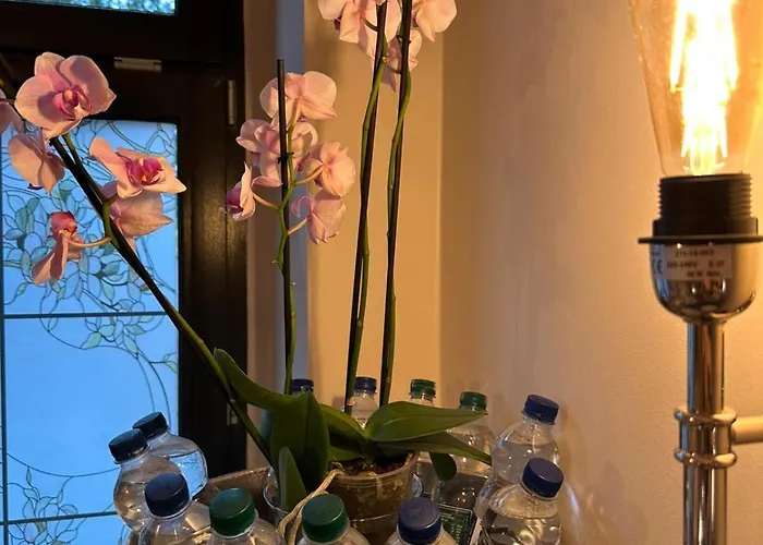 Hudson Butikowe Bed & Breakfast Gdaňsk